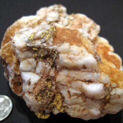 11 Troy OZ Huge Gold and Quartz Specimen For Sale