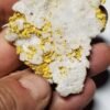 62.04 gram large quartz gold specimen For sale