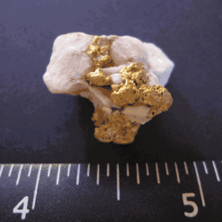 Buy Aussie Gold and Quartz Specimen 10.41 grams